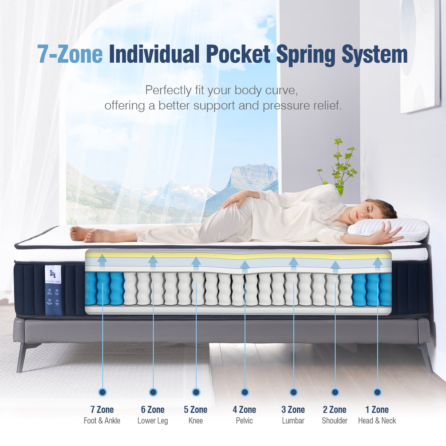 DIGLANT 14 Inch Euro Top Hybrid Memory Foam Mattress with Pocket Springs, Medium Plush Feel Mattress in a Box, Supportive & Pressure Relief, CertiPUR-US Certified